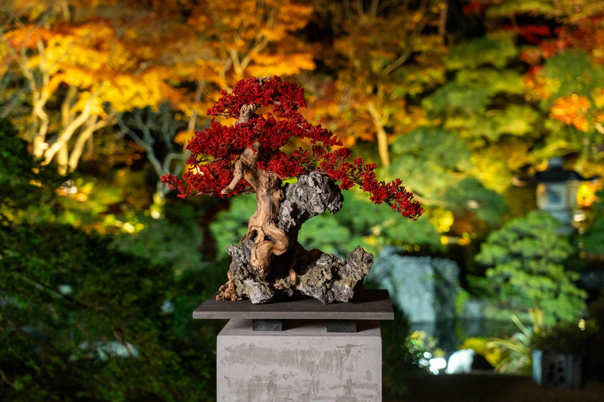 Interior(Décor) &Artworks